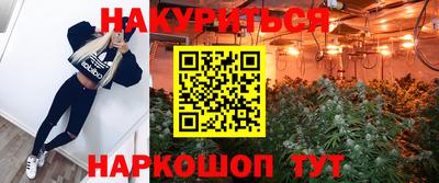 a pvp Кимры