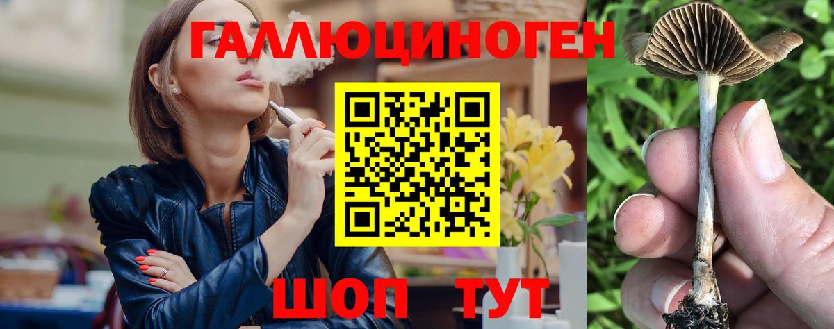 Псилоцибиновые грибы ЛСД  Вход с VPN  купить закладку  Краснокаменск 